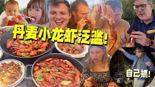 "Caught Crayfish, Cooked Chinese Feast! Danish Family Is Blown Away! 在丹麦实现小龙虾自由!钓爆桶!香辣过瘾不够吃!