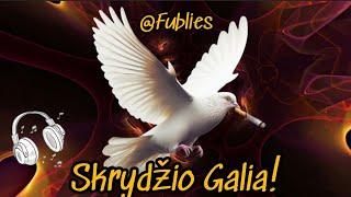 Dj.Fublies - Skrydžio Galia (Official Lyric Video) Lietuviškos Dainos