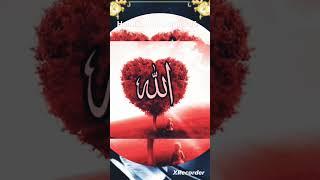 ️️ Allah hi allah Kiya Karo | @hammad al-quran 786 #allah #quran #islam #shorts