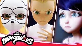 MIRACULOUS |  REPRESENTATION - Felix's Vergangenheit  | STAFFEL 5 FOLGE 24