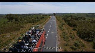 New Forest Tour Bus