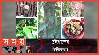 খুলনার বিখ্যাত চুইঝাল! | Chui Jhal | Taste of Khulna | Traditional Food | Somoy TV