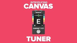 Introducing the Walrus Audio Canvas Tuner