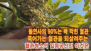 돌연사의 90%는 꽉 막힌 혈관! 죽어가는 혈관을 되살려주는 혈관 청소의 일등공신인 이것은