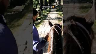 horse riding🫣#upwala #viral #vlog #travel #shorts