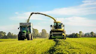 Grass silage in Italy | Krone bigx 850 | 3x John Deere7530 | Pagliari | Visini | TEAM AMBROSIO