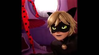 The Main Attraction  #miraculousladybug #catnoir #edit #adrienagreste