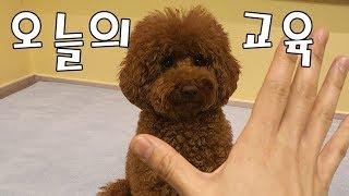 오늘의 교육 - 손 따라걷기 ep.1