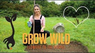 How to create a heart shaped wildflower patch with Hannah Grows