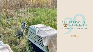 Southwest Wildlife- 2024