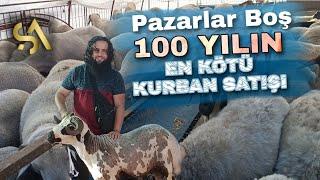 Kurbanlık ÇADIRLARI BOŞ ‼️ Yarısından Fazlası Satılmadı ‼️