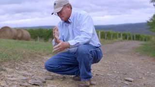 Terroir at Dr. Konstantin Frank Winery