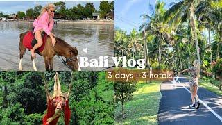 Bali Adventure: 3-Day Hotel Hopping with Swiss Expat Swizzyinsg  | Travel Vlog