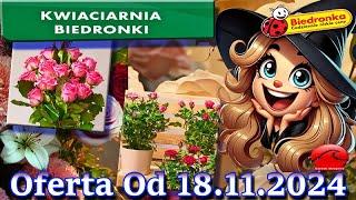 𝐁𝐈𝐄𝐃𝐑𝐎𝐍𝐊𝐀Kwiaciarnia Biedronki Nowa Oferta Od 18.11.2024 Kwiatowe Inspiracje Biedronki Tanie Kwiaty