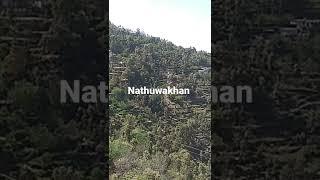 Valley View of Nathuwakhan, Nainital Uttarakhand