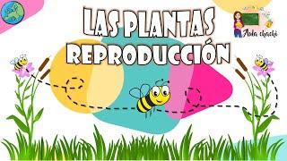 Las Plantas | Reproducción | Aula chachi - Vídeos educativos para niños