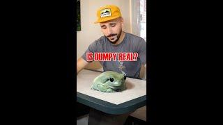 Let’s talk Dumpy. Who is she? Is the giant frog REAL? #bigfrog #vfx #cgi #zachking #funnyanimals