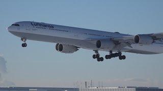 [4K] 30 Minutes of Morning Spotting at Munich Airport