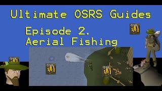 Ultimate OSRS Guides - Aerial Fishing (Kebos Lowlands Quickguides)