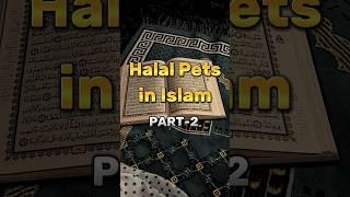 Halal Pets in Islam  Pt-2 #pets #halal #islam