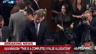 MSNBC contributor: Kavanaugh allegations shatter "picture perfect family and life he presented'