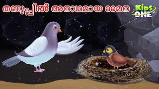 തണുപ്പിൽ അനാഥമായ മൈന | The Orphaned Myna in the Cold Story | Malayalam Katha | Malayalam Fairy Tales