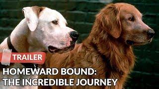 Homeward Bound: The Incredible Journey (1993) Trailer HD | Michael J. Fox | Sally Field