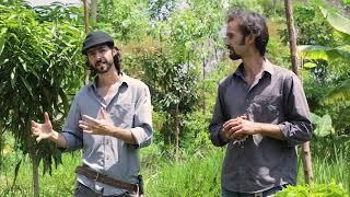 AGROFORESTRY COURSE | Lesson 2, Module 1 - The Goal of This Course | Food Forest COURSE |