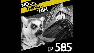 585: No Such Thing As The Paula Radcliffe Of F1 Racing