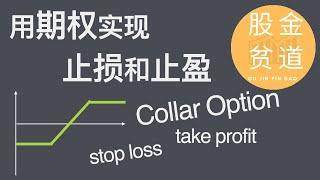 用Collar期权操作实现止损(Stop loss)止盈(Take profit)的策略，可以抵御股价瞬间暴跌在反弹。