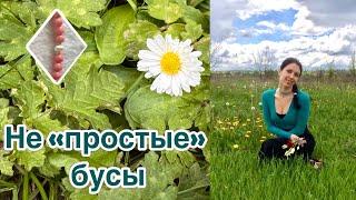 284. Не «простые» бусы.