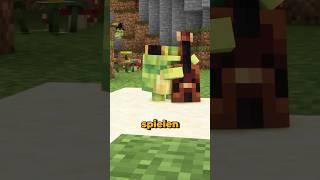 So haben TooBad und Ich die Ribbits besiegt…?! #minecraft #minecraftshorts #maggus #toobad