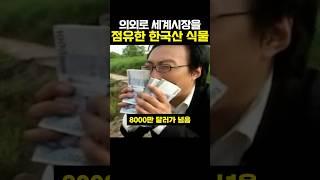 의외로 세계 시장을 점유한 한국산 식물 #이슈 #한국 #꿀팁