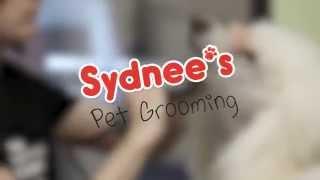 Sydnee's Pet Grooming Core Values