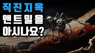 영원히 빠져 나갈 수 없는 사회적 덫! 소용돌이 개미지옥 앤트밀을 아시나요?