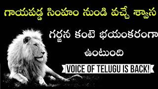 The Power Is Back | కెరటం మళ్ళీ ఎగసింది |  Voice Of Telugu