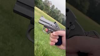 Handheld Shotgun by Bond Arms