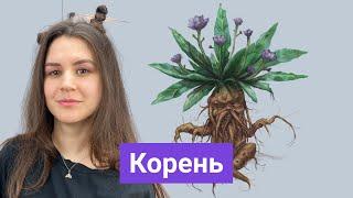 Корень