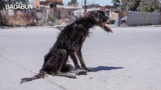 Ella es Muñeca. Su historia te hará llorar