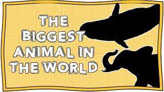 What is the Biggest Animal in the World? And More Crazy Records | Officially Amazing | Nugget