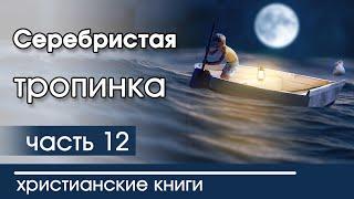 ИНТЕРЕСНАЯ ХРИСТИАНСКАЯ АУДИОКНИГА "Серебристая тропинка" 12 часть Христианский рассказ