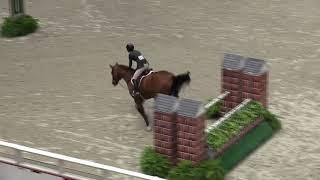 Video of LEVLAND ridden by CHRISTINA FISHER from ShowNet!