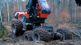 Amazing Tree Cutting | Niesamowita Wycinka Drzew | Woodfast