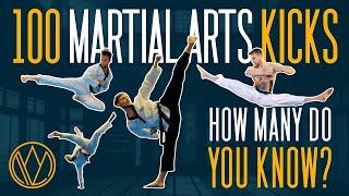 100 DIFFERENT KICKS! | FOC Kicktionary | Taekwondo, Karate, Capoeira, Tricking, Martial Arts