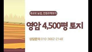 전남 영암군 4,500평 농업/전원주택용 토지 매매합니다. #전원주택부지 #귀농귀촌 #감나무 #농막 #비닐하우스