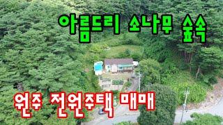 아름드리 소나무 숲으로 둘러쌓인 원주 전원주택매매. 1억 6500만원(고정가)