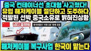 중국 컨테이너선 초대형 사고쳤다! 해저케이블 끊고 도주하다 적발