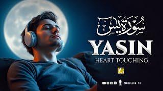 Surah Yasin (Yaseen) سورة يس | Majestic Quran to Help You Relax, Sleep, and Heal | Zikrullah TV