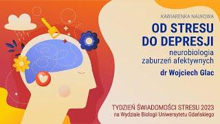 Od stresu do depresji - neurobiologia zaburzeń afektywnych (dr Wojciech Glac)