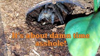 Feeding Video #2